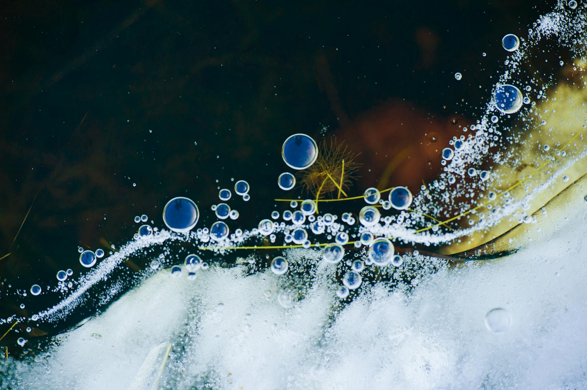 close up view of air bubbles in a liquid