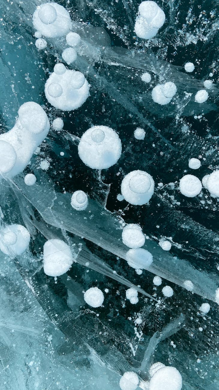 macro shot photography of bubbles in the water